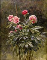 Study of Flowers