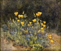 Study of Flowers