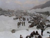 Army of Bourbaki in Switzerland in 1871