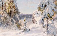 Forest in Winter
