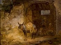 Saddled Donkey