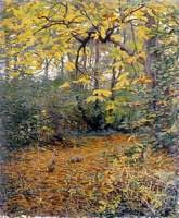 Chestnut Wood