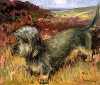 The Terrier Dog