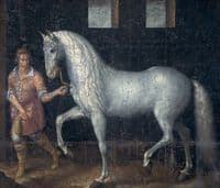 A Spanish Warhorse Captured by Lodewijk Gunther van Nassau from Archduke Albert of Austria in the Battle of Nieuwpoort and Presented to Prince Maurits