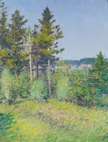 Glimpse of Otter Cliffs
