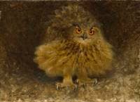 An Eagle Owl