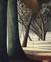 A Forest