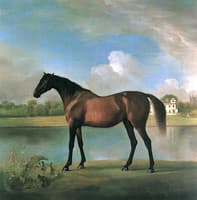 A Bay Mare Belonging to Lord Bolingbroke, with Lydiard Hall and Church in the Background