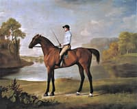 The Marquess of Rockingham's 'Scrub', with John Singleton Up
