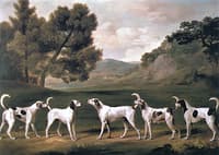 Five of Lord Rockingham's Hounds in a Landscape