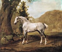 A Dapple Grey Horse, perhaps the 'Ancaster Starling'