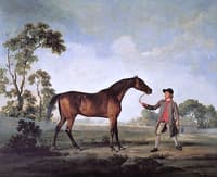 The Duke of Ancaster's Bay Stallion 'Spectator', Held by a Groom