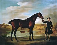 The 4th Duke of Marlborough's Bay Hunter Held by a Groom