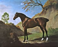 A Dark Bay Horse Belonging to the Duke of Marlborough, Seen near Toadstools on a Tree Stump