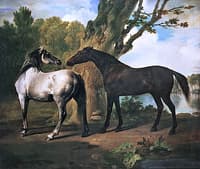 A Grey Mare with a Dark Bay Mare by a Stream