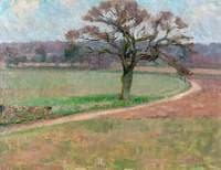 The Oak Tree