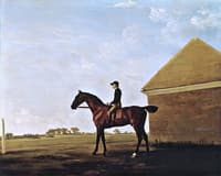 'Turf', with Jockey up, at Newmarket