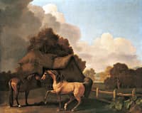 Stallion and Mare (1)