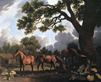 'Gnawpost' and Two Other Colts