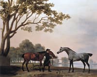 A Bay and a Grey Horse Fed by a Groom