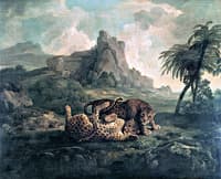 Tygers at Play (1)