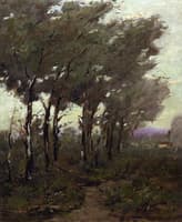 Birches