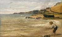 The Gull Catcher