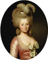 Portrait of a Lady