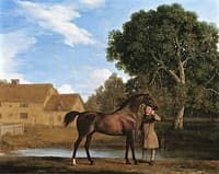 Lord Grosvenor's Bay Stallion 'Dix', with a Groom