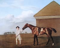 'Firetail' Held by a painter on Newmarket Heath