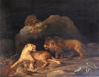 Lions and a Lioness: A Den of Lions