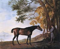 'Shark' with His Trainer, Price
