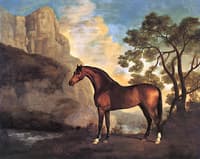 A Bay Arabian Belonging to Robert Gregory MP