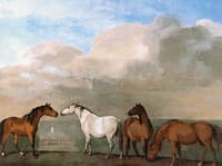 John Musters's Brood Mares in Colwick Hall Park (unfinished)