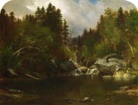 Calm Pond
