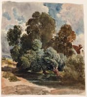 Grove of Trees