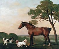 Bay Hunters with Two Playful Spaniels