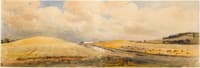 Cornfields near Tring Station, Hertfordshire