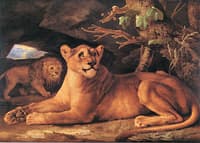Lion and Lioness