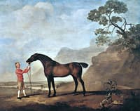 'Scape Flood', Held by a Stable-Lad