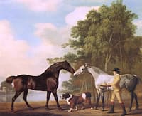 Two Hunters with a Young Stable-Lad and a Dog