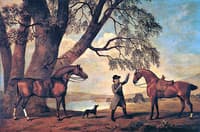 Two of Peter Beckford's Hunters with a Groom and Dog