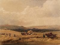 A Hayfield in Yorkshire
