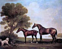 An Arabian Mare and a Younger Horse Confronting a Water Spaniel