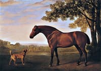 A Red Hunter and a Dog Called 'Trim', belonging to G. W. Ricketts Esq., of New Canaan, Jamaica