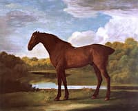 A Chestnut Racehorse, perhaps 'Polyanthus', Bead by Lord Grosvenor
