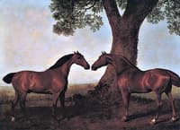 Two Bay Hunters Belonging to Henry Real Communing with Each Other
