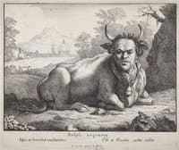 Thomas Patch as a Bull