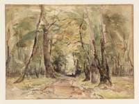 Forest of Fontainebleau: A Path in the Woods
