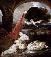 The Descent of the Swan